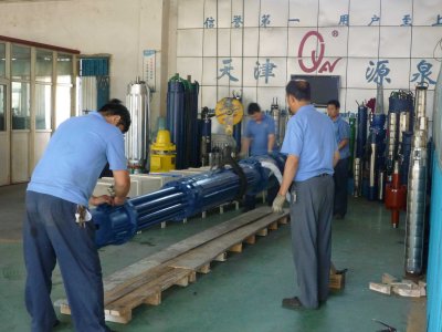 Domestic high jet pump